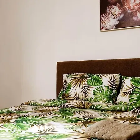 Visnjik Vintage Daire *