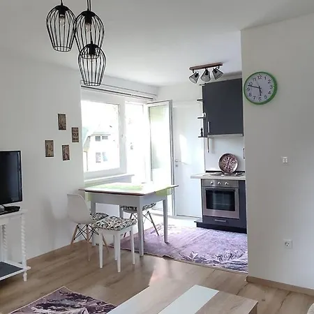 Apartment Visnjik Vintage