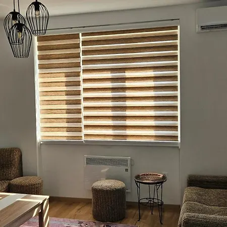 Visnjik Vintage Daire *